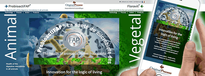 Site web responsive et animation vidéo pour Original Process