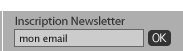 Inscription Newsletter